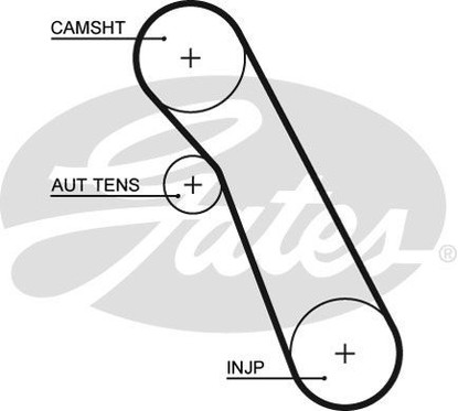 Kit Cinghie Dentate Gates K015559Xs Per Ford