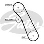 Kit Cinghie Dentate Gates K015559Xs Per Ford