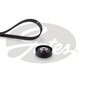 Kit Cinghie Dentate Gates K015559Xs Per Ford