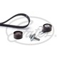 Kit Cinghie dentate GATES Ford C-Max (DM2)
