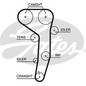 Kit Cinghie Dentate Gates K015607Xs Audi,Vw