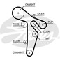 Kit Cinghie Dentate Gates K015648Xs Audi, Vw
