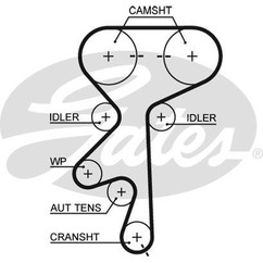Kit Cinghie Dentate Gates K025499Xs Per Opel