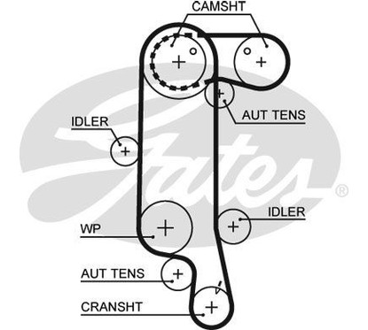 Kit Cinghie Dentate Gates K025565Xs Seat, Vw