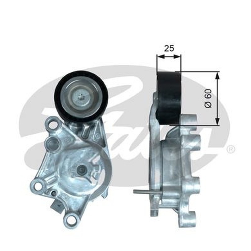 GATES Rullo tenditore, Cinghia Poly T39374