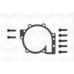 Graf 'Ford: Focus 2.5 Pa1019