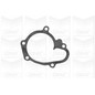Graf Pompa Acqua Hyundai Atos 1.1 Getz Pa1021