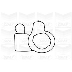 Graf Pompa Acqua Bmw Serie 1 Pa1039