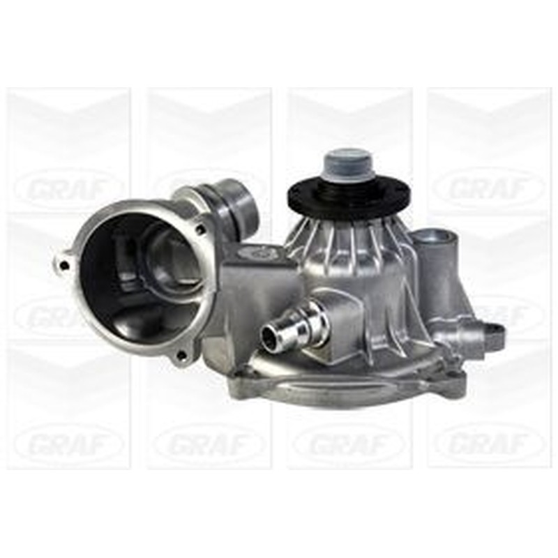 Graf Pompa Acqua Bmw Pa1040