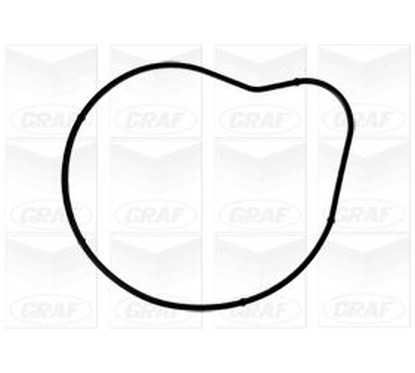 Graf Pompa Acqua Bmw Pa1040