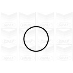 Graf Pompa Acqua Audi A3 Ii Pa1041
