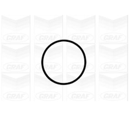 Graf Pompa Acqua Audi A3 Ii Pa1041