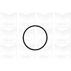 Graf Pompa Acqua Audi A3 Ii Pa1041