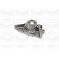Graf Pompa Acqua Citroen C4 Pa1044
