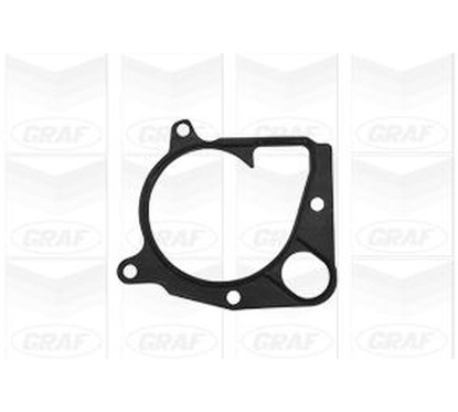 Graf Pompa Acqua Bmw 320D Pa1046