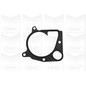 Graf Pompa Acqua Bmw 320D Pa1046