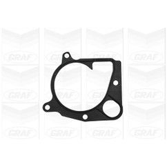 Graf Pompa Acqua Bmw 320D Pa1046