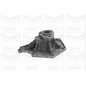 Graf Pompa Acqua Audi A4 Pa1050