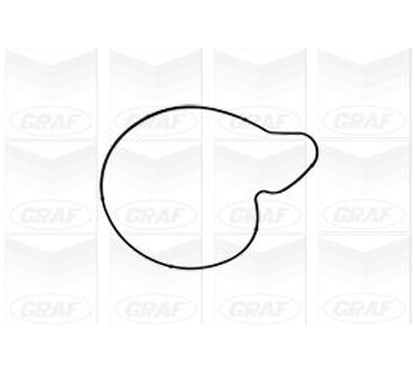 Graf Pompa Acqua Audi A4 Pa1050