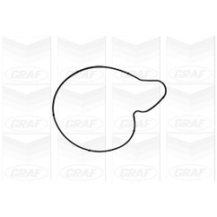 Graf Pompa Acqua Audi A4 Pa1050