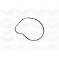 Graf Bmw Serie 5 (E60) (E61) / X5 (E70) Pa1058