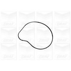 Graf Bmw Serie 5 (E60) (E61) / X5 (E70) Pa1058 per ripristinare il corretto funzionamento del componente