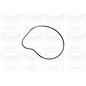 Graf Bmw Serie 5 (E60) (E61) / X5 (E70) Pa1058