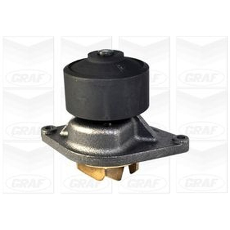 Graf Pompa Acqua Iveco Pa1060