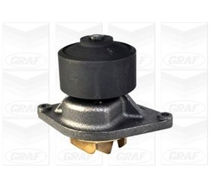 Graf Pompa Acqua Iveco Pa1060