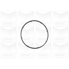 Graf Pompa Acqua Alfa Mito -Fiat 500 Ii 1.3 Mjt Pa1083