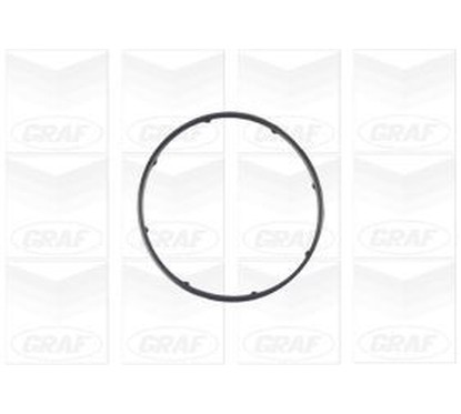 Graf Pompa Acqua Alfa Mito -Fiat 500 Ii 1.3 Mjt Pa1083