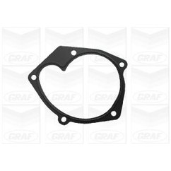 Graf Pompa Acqua Renault Scenic Con Cusc. Rinforzato Pa1087