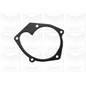 Graf Pompa Acqua Renault Scenic Con Cusc. Rinforzato Pa1087