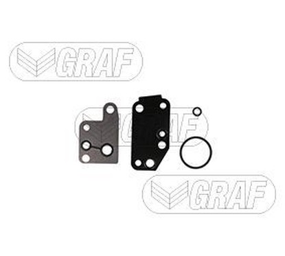 Graf Pompa Acqua Ford Transit Viii 2.4 Tdci Completa Pa1100