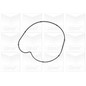 Graf Pompa Acqua Mercedes Classe E (W212) Pa1107
