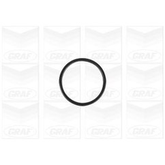 Graf Pompa Acqua Bmw 3 V (E90) : M3 / 3 V Cabrio (E9 Pa1138