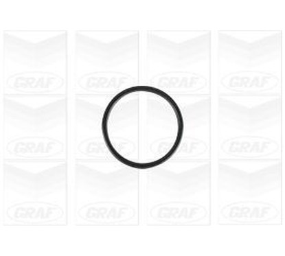 Graf Pompa Acqua Bmw 3 V (E90) : M3 / 3 V Cabrio (E9 Pa1138