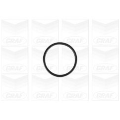 Graf Pompa Acqua Bmw 3 V (E90) : M3 / 3 V Cabrio (E9 Pa1138