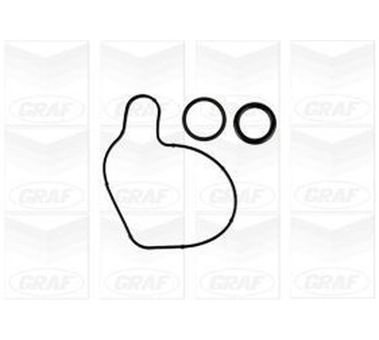 Graf Pompa Acqua Audi A4 Pa1153