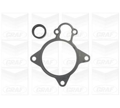 Graf Pompa Acqua Iveco Daily Iii 3.0 Hpt 07 Pa1156