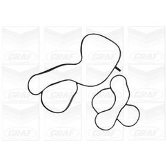 Graf Pompa Acqua Audi / Seat / Skoda / Volkswagen A1 Pa1218
