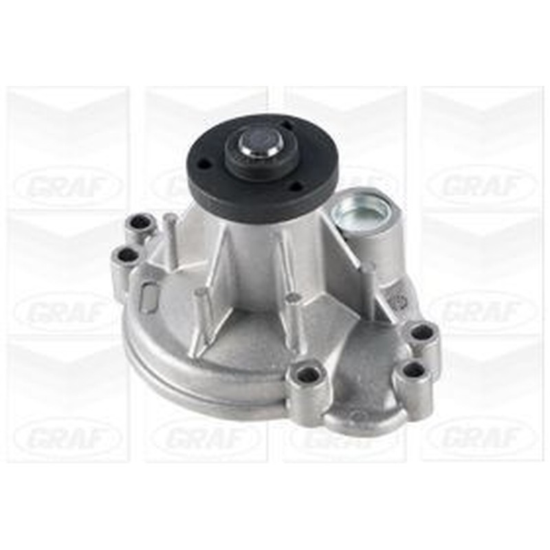 Graf Pompe Acqua Pa1250