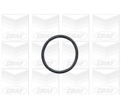 Graf 'Bmw: 3 316 Ci Pa430