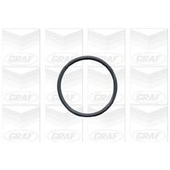 Graf 'Bmw: 3 318 Tds Pa502A