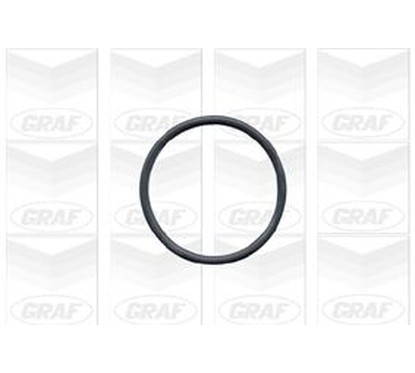 Graf 'Bmw: 3 318 Tds Pa502A