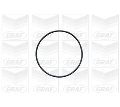 Pompa Acqua Graf Pa541 Per Auto Opel