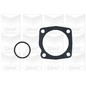 Graf 'Fiat: Palio 1.7 Td Pa553 Graf 'Fiat: Palio 1.7 Td Pa553