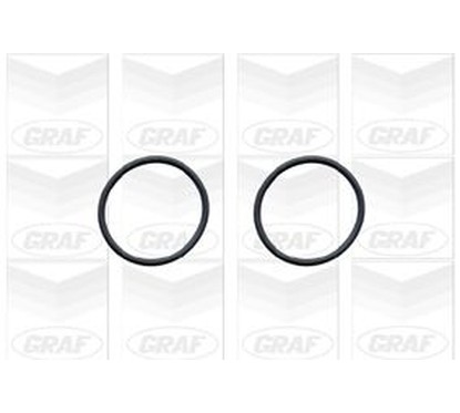 Graf 'Audi: 100 1.6 Pa579