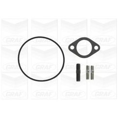Graf Citroen Lcv Jumper 2.8 Hdi Pa607