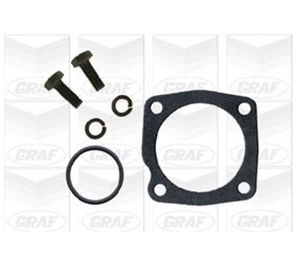 Graf Fiat: Brava, Bravo 1.9 D (95-01) Pa622